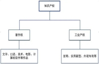 知識產權都有哪些