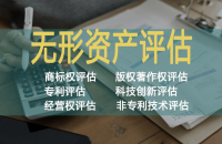 國外專利無形資產評估方法及其應用