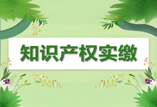 知識(shí)產(chǎn)權(quán)如何入股？詳解知識(shí)產(chǎn)權(quán)實(shí)繳操作流程